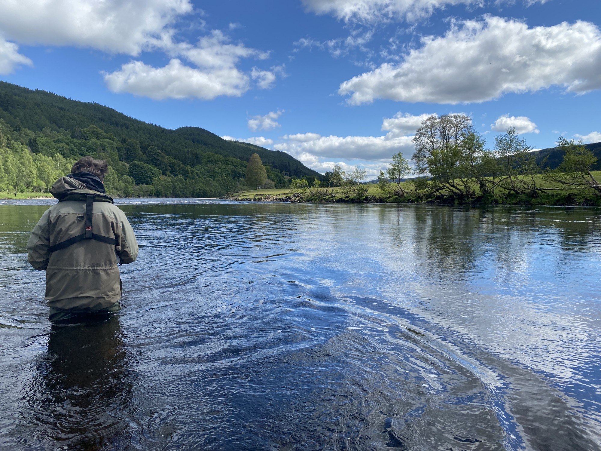 This guest was fishing with me on the River Tay near Dunkeld. This pool tail is a renowned hot spot for running salmon so I waded out to this fishing position to make it easier to fish the main salmon lie between the fisher and the far riverbank. Directly in front of the big tree that you can see on the opposite riverbank is the main salmon lie hot spot.