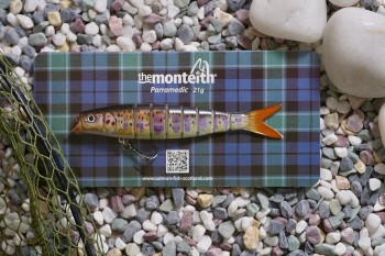 Replicates a mature salmon parr, a natural prey for large resident cannibal brown trout that can no longer sustain themselves on invertebrates