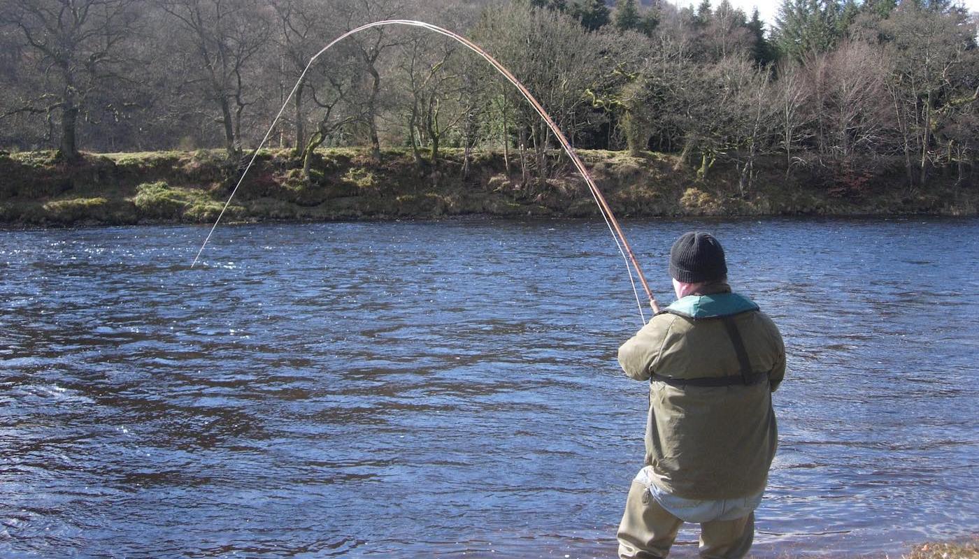 Here's Alan Rennie playing one of 5 Spring salmon he caught that with myself as his salmon guide in the boat that day. Look are the riverbank where there's no leaves on the trees yet there's some beautiful sunlight which just gave the surface of the water of the river enough warmth to get these fish on the move and in a 'taking' frame of mind. This photo was taken in the Cottar Pool on the Newtyle Beat of the River Tay.
