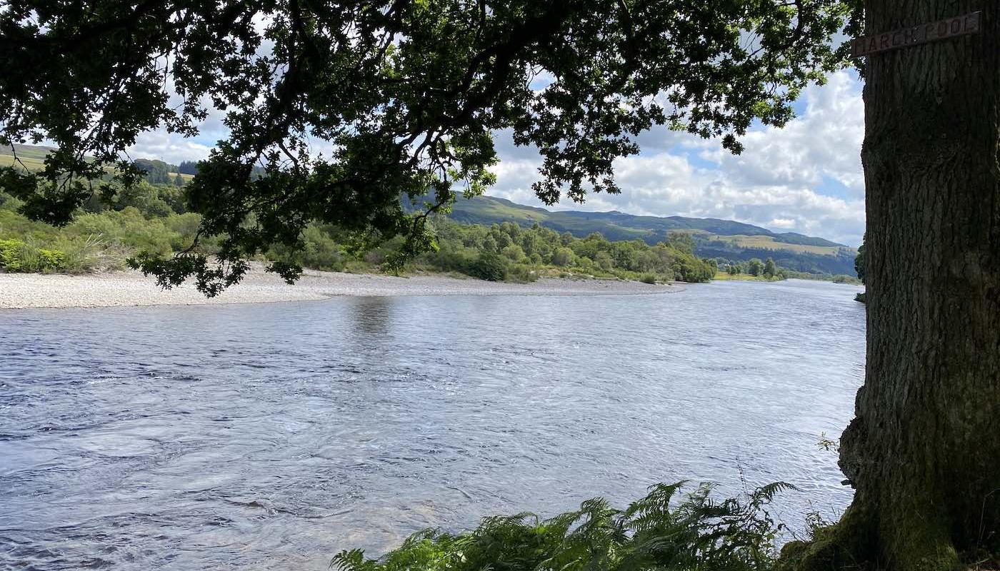 Look at this for perfect River Tay salmon fly fishing water under this lovely mature oak tree. The River Tummel joins the Tay just to the left of frame and all river confluences are natural stoppers for running salmon. The River Tay has many salmon fishing hot spots like this perfect one.
