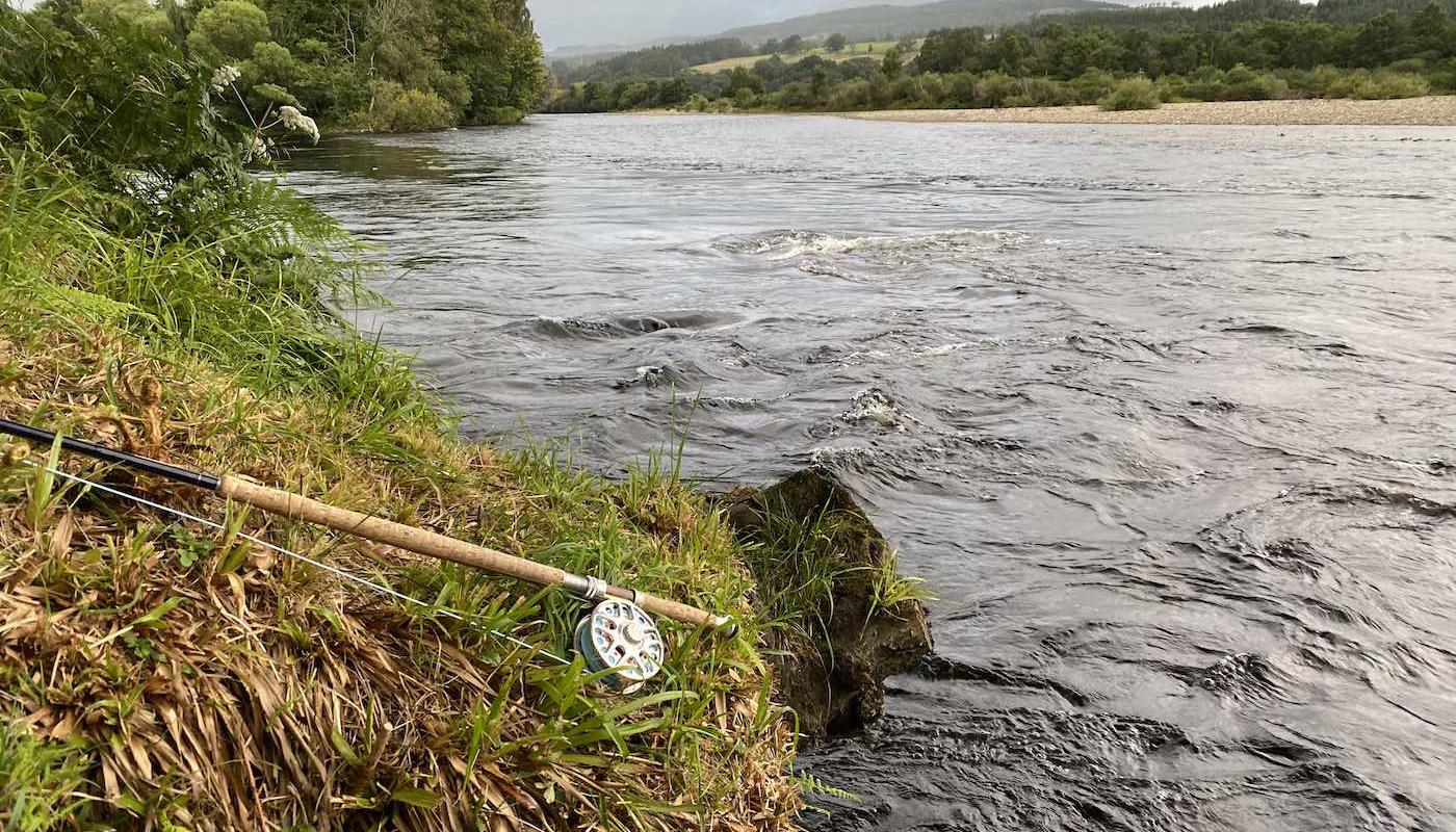 During periods of high water like this on the River Tay you need to be searching for salmon close to the edge of the riverbank as fish will lie in close during these conditions. It's also safer for a salmon fisher not to wade into the river during such conditions. Learn how to catch salmon and approach the salmon river correctly with a professional Scottish salmon guide. This is my salmon fly rod and reel lying at the side of the river in this high water photograph.